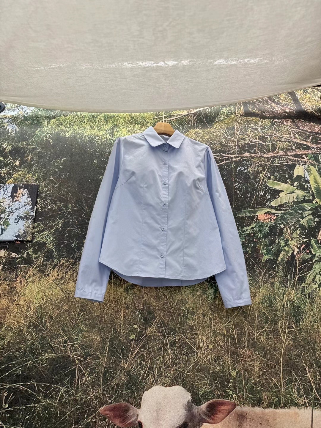 LIVING/CO-씨오-T韓國直郵㊣女裝新款人氣熱賣襯衫蕾絲衫CO CO/LIVING襯衫/蕾絲衫圖色2