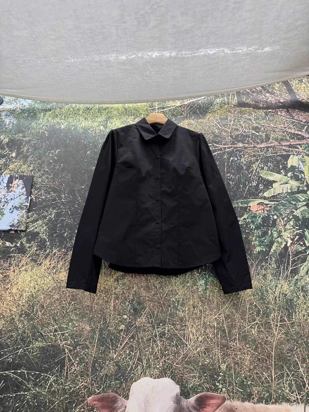 LIVING/CO-씨오-T韓國直郵㊣女裝新款人氣熱賣襯衫蕾絲衫CO CO/LIVING襯衫/蕾絲衫圖色3