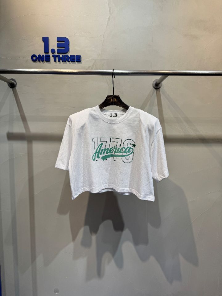 1.3韓國㊣直郵東大門代購女裝新品25春夏人氣熱賣休閑T恤短款1.3T恤圖色2