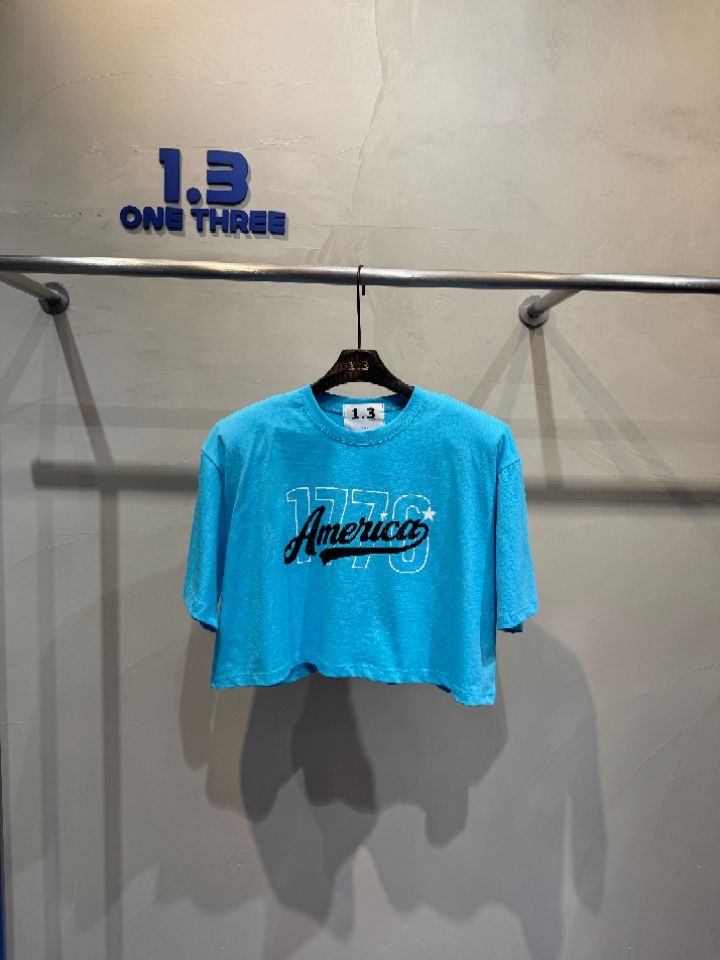 1.3韓國㊣直郵東大門代購女裝新品25春夏人氣熱賣休閑T恤短款1.3T恤圖色4