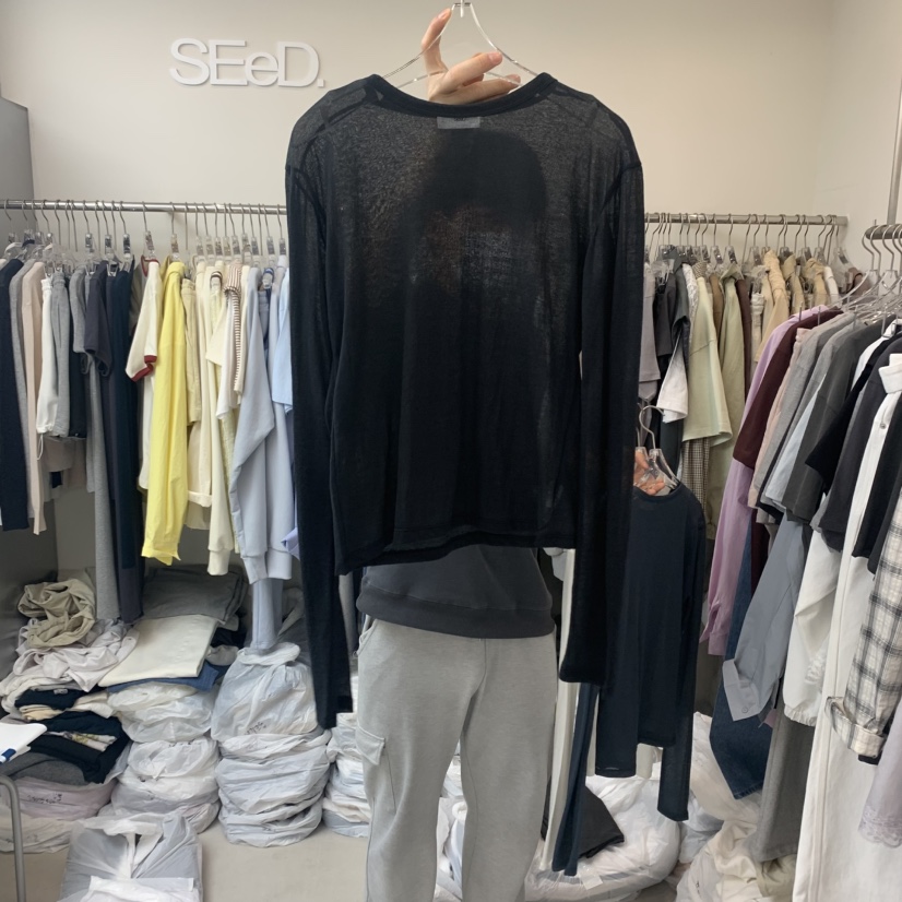 LEESEED-A韓國直郵㊣女裝新款熱賣推薦25春夏休閑長袖T恤透明SEeD/LEESEED長袖T恤圖色2