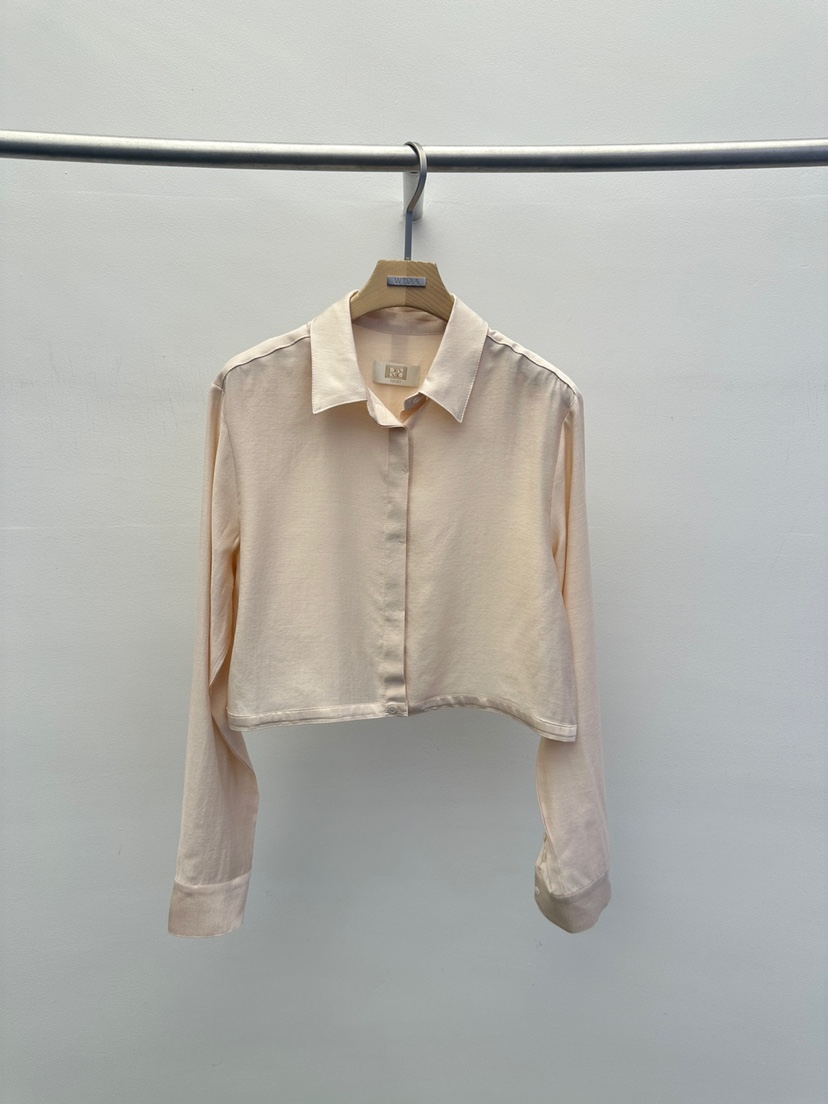 WIDA-P韓國代購女士新品時尚推薦職業25春夏休閑襯衫蕾絲衫WIDA/RENEJ襯衫/蕾絲衫圖色2