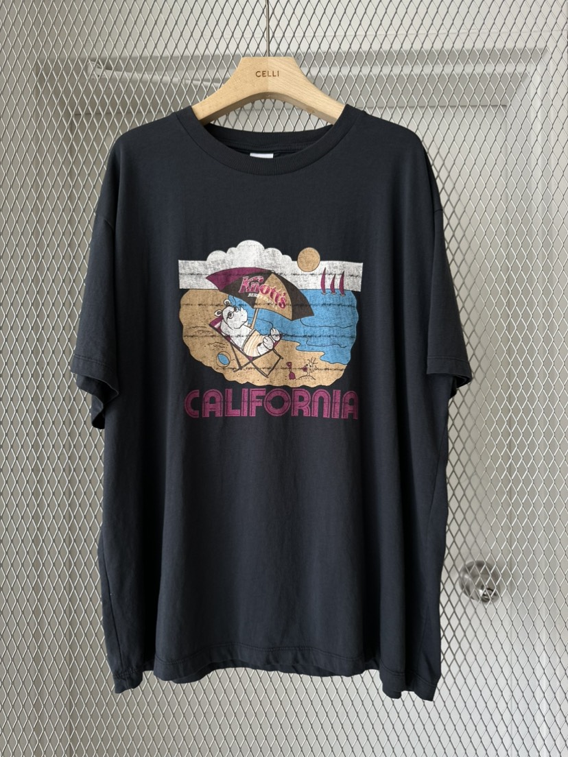 CELLI韓國㊣直郵東大門代購女裝新品25春夏推薦人氣時尚T恤CELLIT恤圖色4