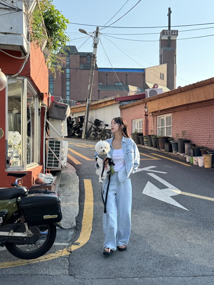 SUNDER MARKET東大門代購女士新品真品時尚休閑襯衫蕾絲衫SUNDER MARKET襯衫/蕾絲衫
