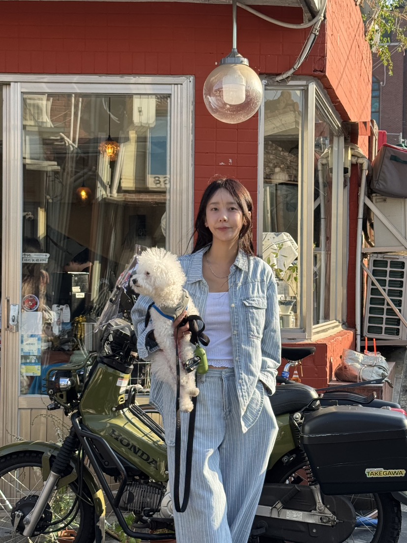 SUNDER MARKET東大門代購女士新品真品時尚休閑襯衫蕾絲衫SUNDER MARKET襯衫/蕾絲衫
