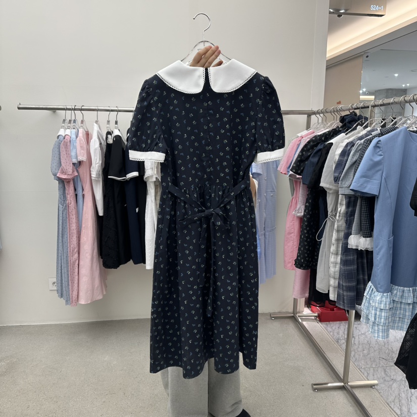 ANNA VERRY-P韓國直郵㊣女裝新品人氣時尚熱賣25春夏連衣裙ANNA VERRY/BELIEVE連衣裙
