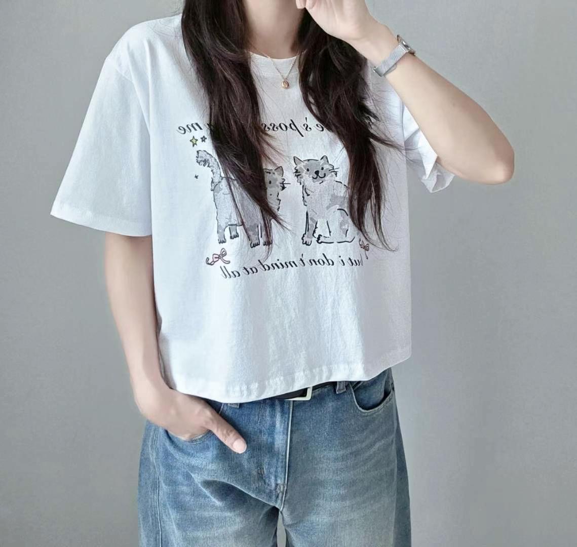 SSEN-쎈-T東大門代購女士新品真品休閑人氣推薦職業25春夏T恤SSEN-쎈-TT恤