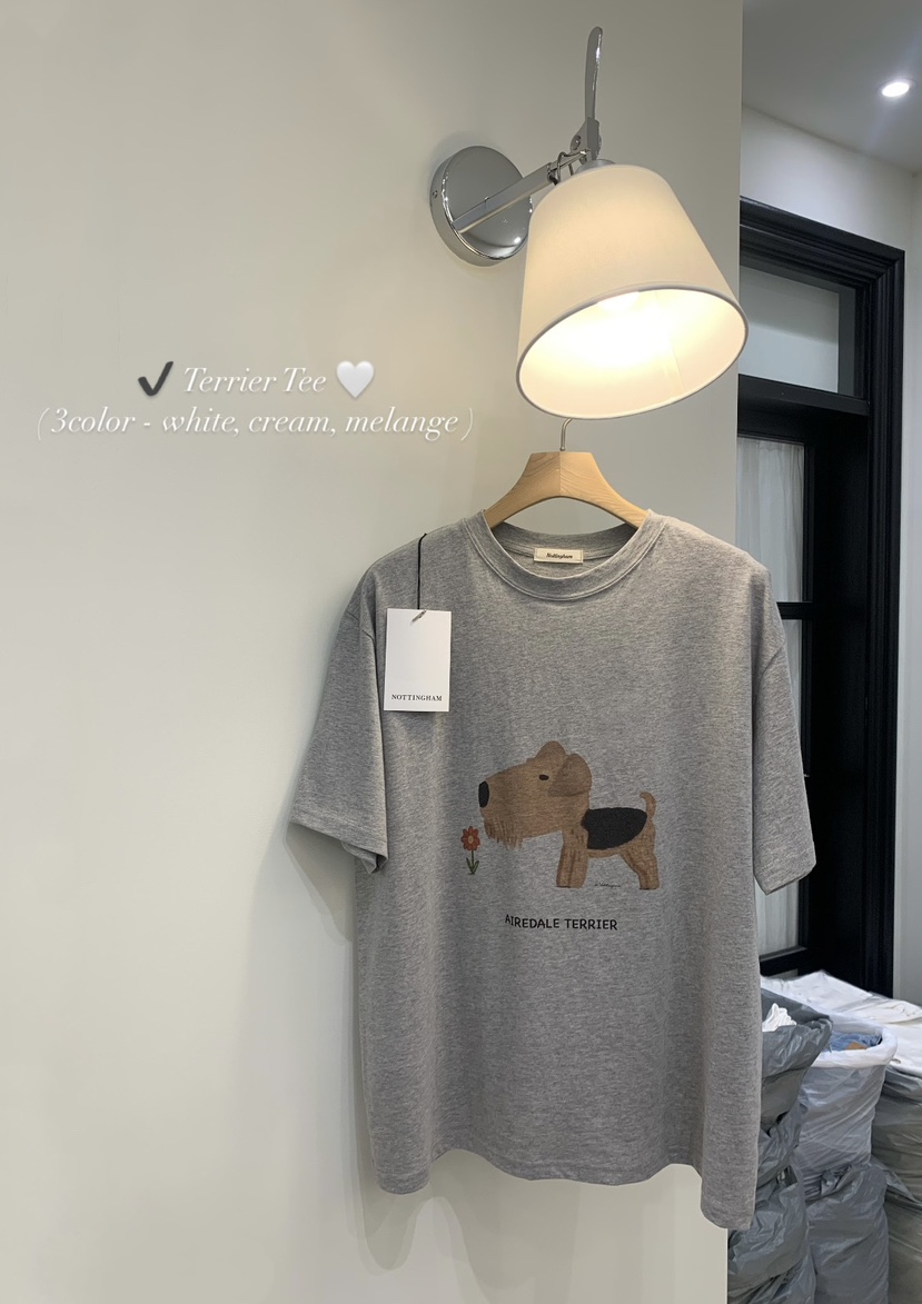 NOTTINGHAM韓國直郵㊣女裝新品人氣時尚25春夏休閑推薦熱賣T恤NOTTINGHAMT恤圖色3