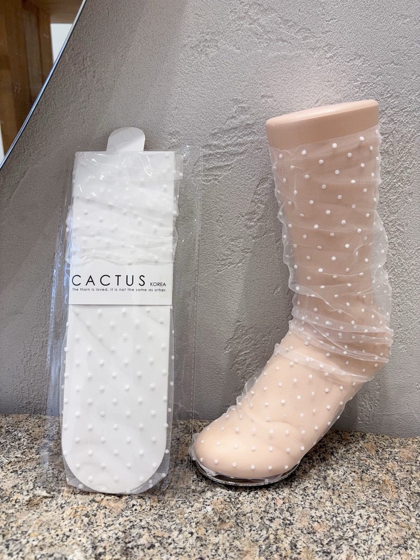 CACTUS-Q直郵韓國代購㊣女裝新品推薦25春夏休閑時尚襪子蕾絲CACTUS十雙起/可混搭襪子