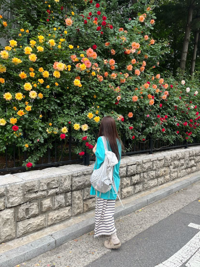 SOAPYROOM韓國直郵㊣女裝新款推薦25春夏職業時尚人氣連衣裙SOAPYROOM連衣裙