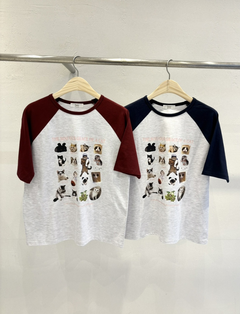 JMIND東大門㊣實拍女裝新款熱賣25春夏休閑時尚真品人氣T恤JMINDT恤圖色2左二色