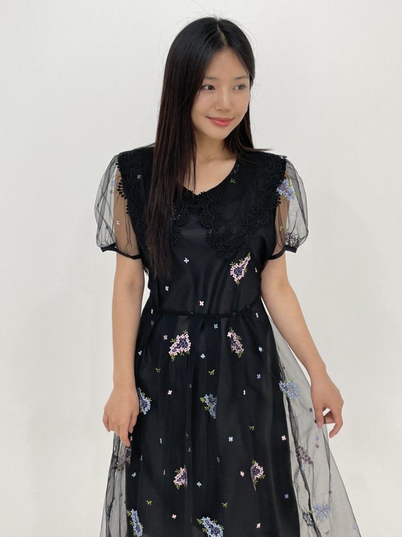 ANNA VERRY-P東大門㊣代購女士新款推薦熱賣職業連衣裙刺繡ANNA VERRY/BELIEVE連衣裙