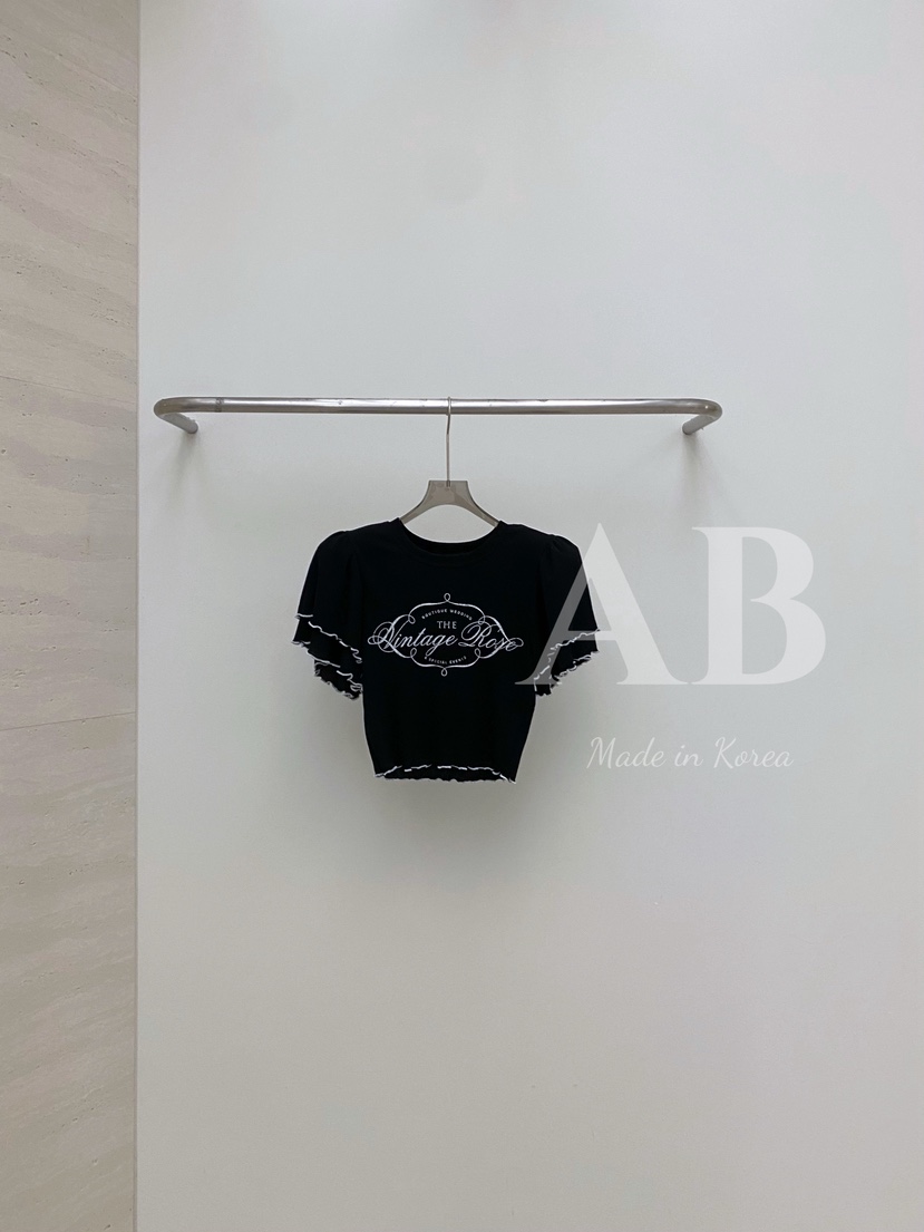 AB韓國直郵㊣女裝新款時尚休閑職業25春夏真品人氣推薦熱賣T恤ABT恤圖色3