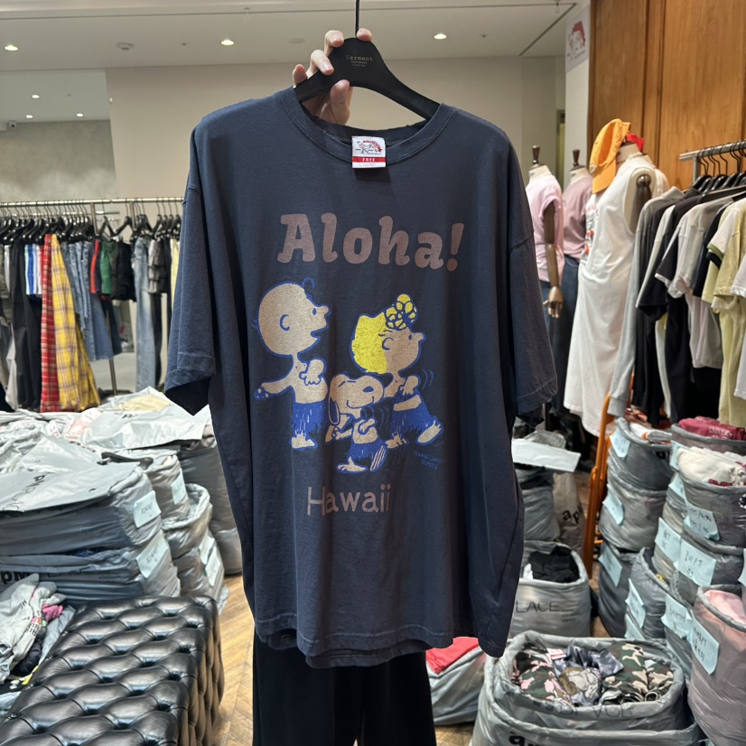 GARMENT-P東大門㊣直郵女裝新款真品熱賣人氣時尚休閑25春夏T恤GARMENTT恤圖色2