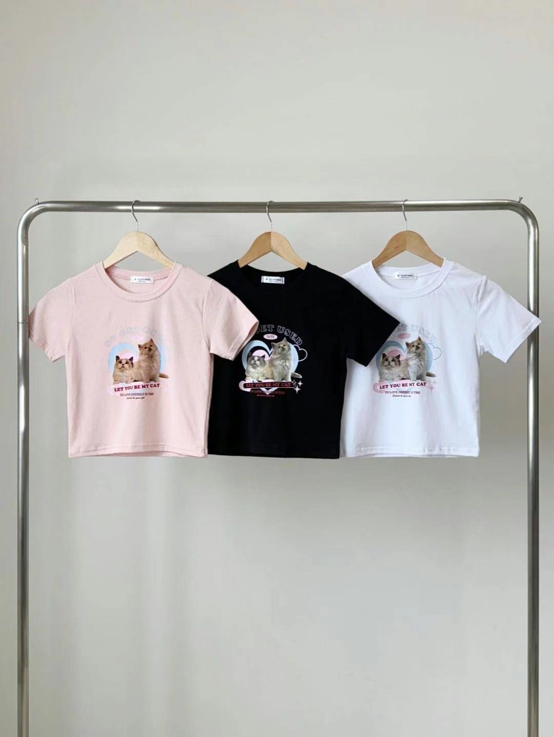 BCLOTHES-비클로스-T東大門㊣直郵女裝新款25春夏推薦T恤BCLOTHEST恤