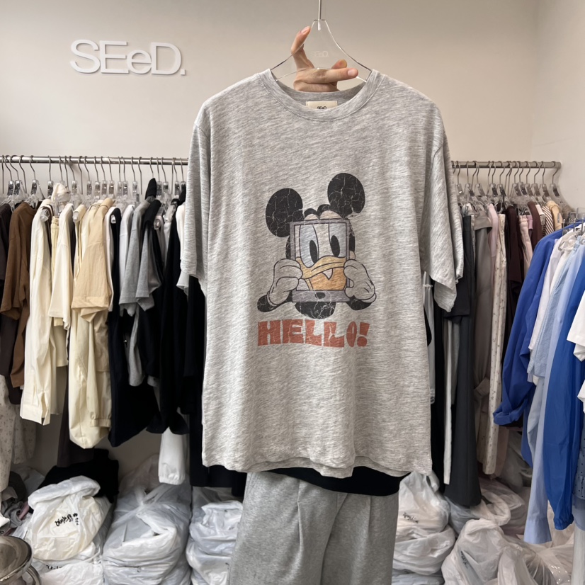LEESEED-A韓國直郵㊣女士新款25春夏時尚推薦人氣休閑職業T恤SEeD/LEESEEDT恤圖色2