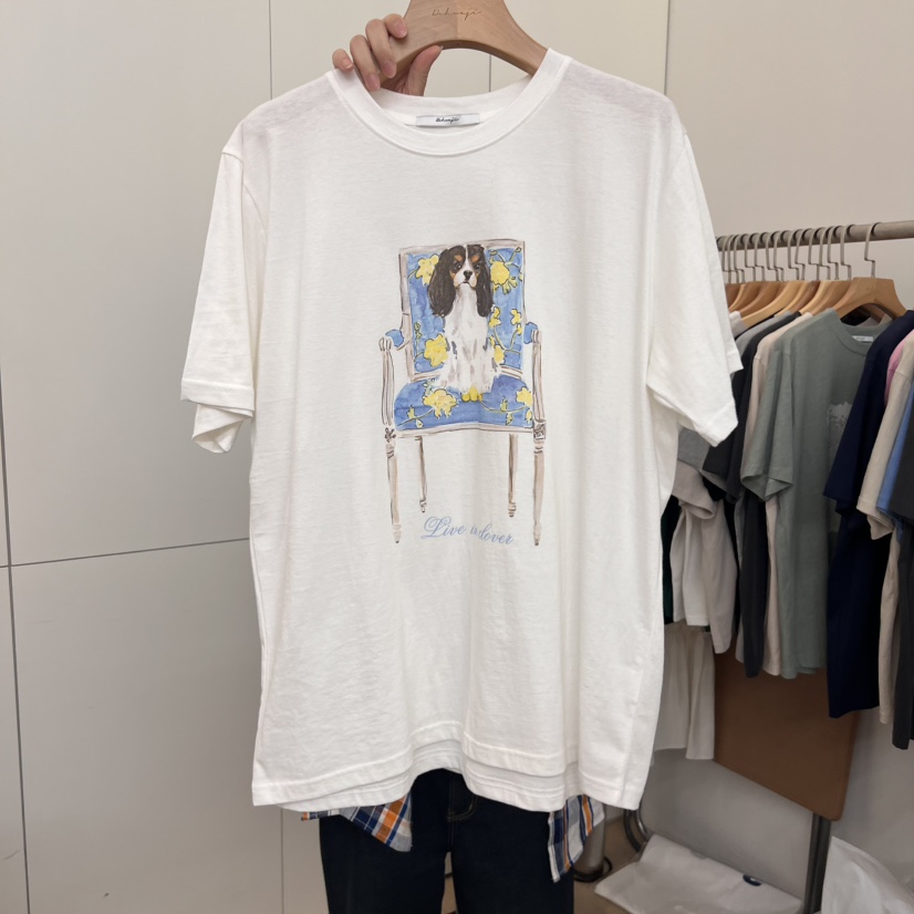 DOHWAJI韓國直郵㊣女士新品真品人氣職業熱賣時尚25春夏T恤DOHWAJIT恤圖色3