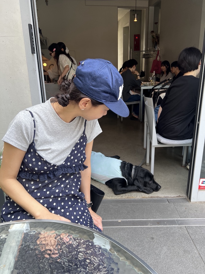 SUNDER MARKET東大門㊣實拍女裝新款職業人氣時尚熱賣連衣裙SUNDER MARKET連衣裙