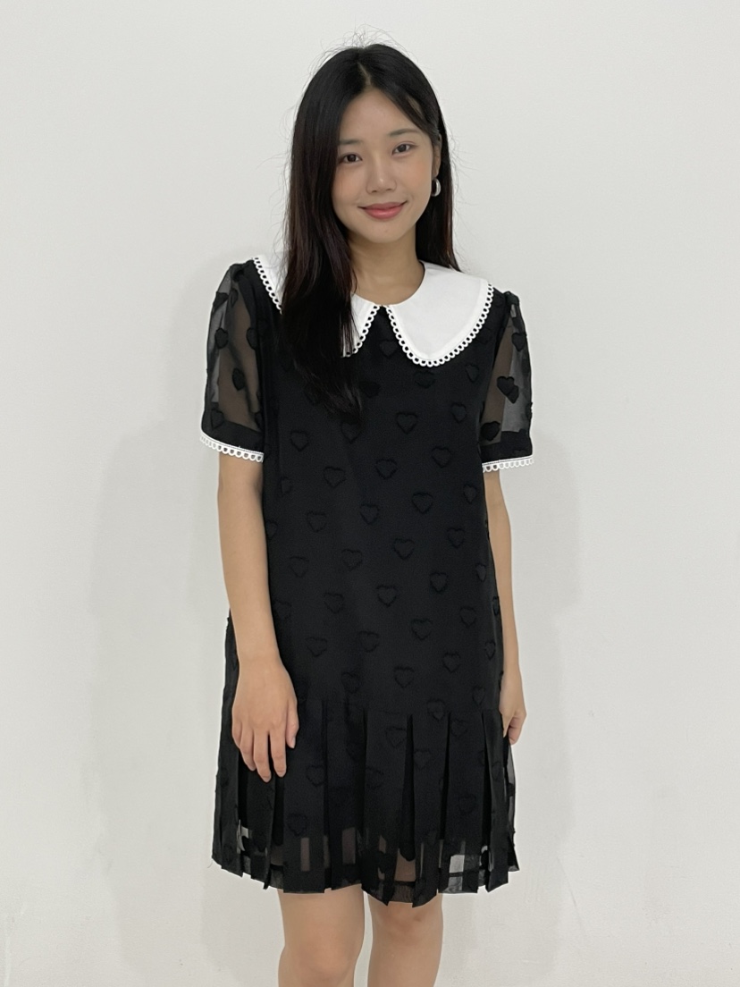 ANNA VERRY-P韓國直郵㊣女士新款休閑推薦時尚職業連衣裙ANNA VERRY/BELIEVE連衣裙圖色2