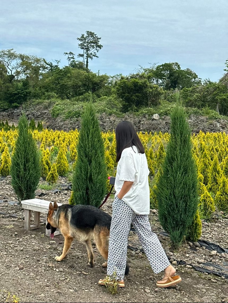 BRICK韓國代購㊣女士新款職業25春夏熱賣真品休閑時尚休閑褲BRICK休閑褲