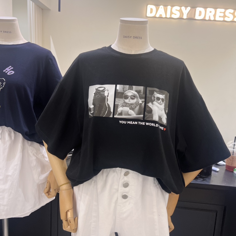 DAISY DRESS東大門㊣直郵女士新款人氣休閑25春夏時尚熱賣T恤DAISY DRESST恤圖色2
