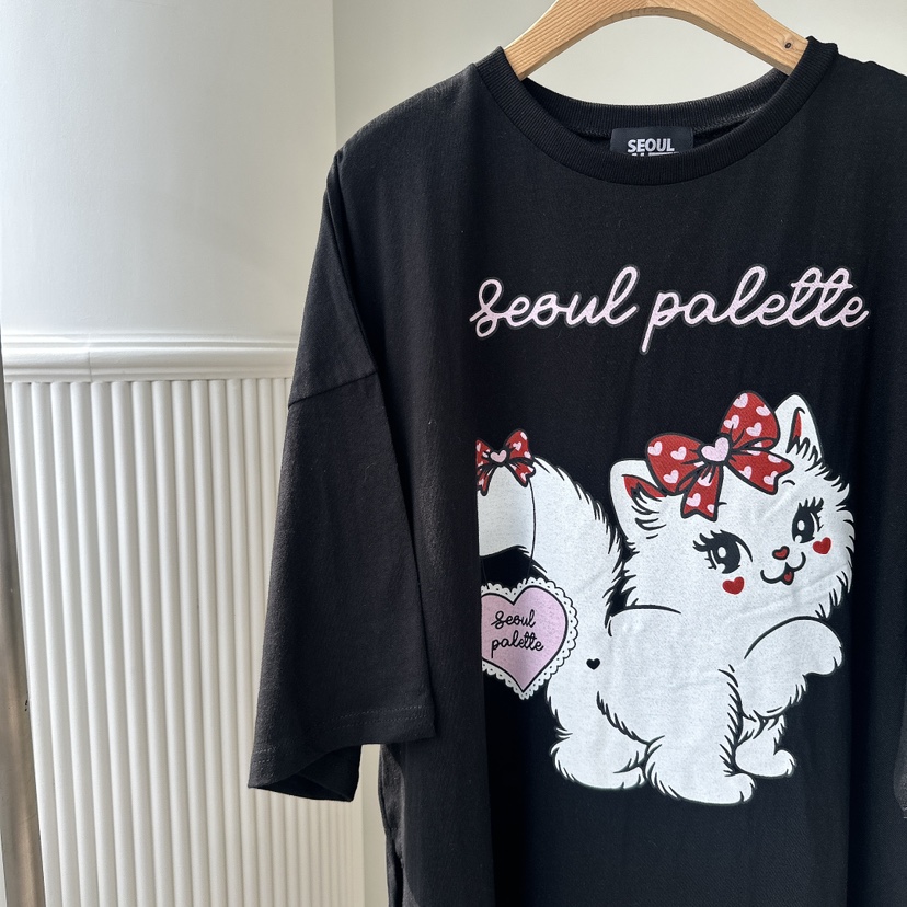 PALETTE-Q韓國直郵㊣女士新品25秋夏人氣職業真品推薦熱賣T恤PALETTET恤