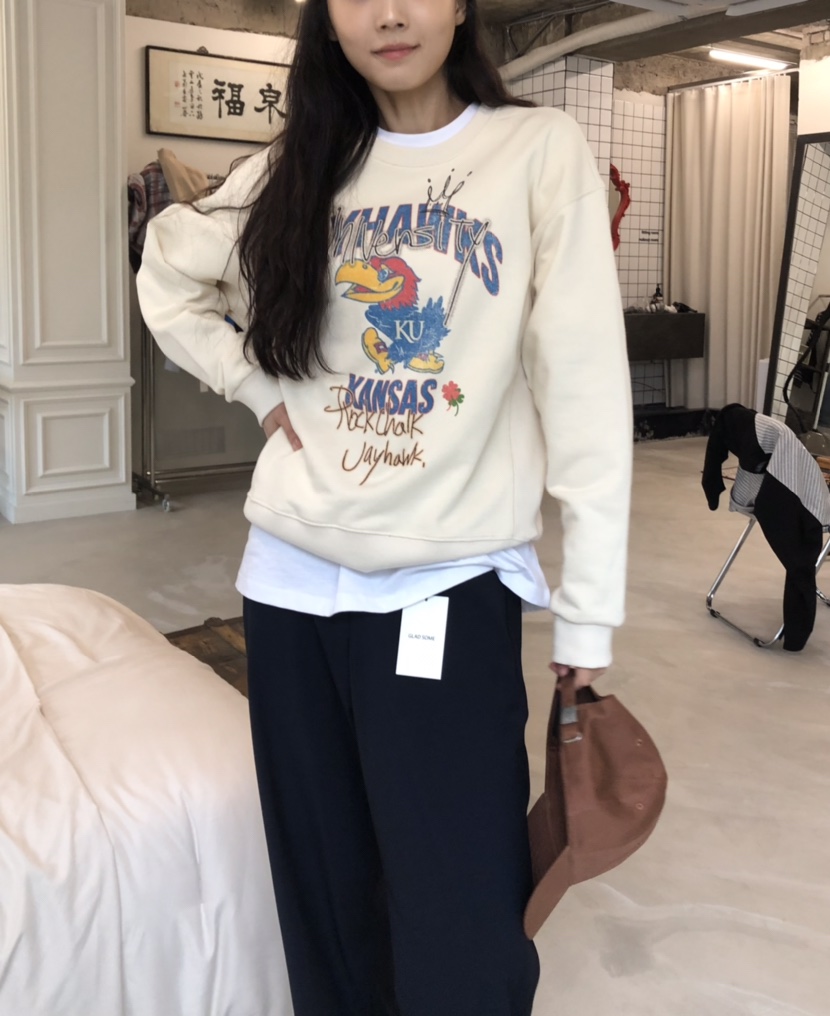 空韓國代購㊣女裝新款休閑真品25秋冬職業熱賣人氣時尚衛衣HANNA-A衛衣
