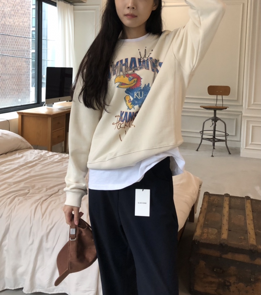空韓國代購㊣女裝新款休閑真品25秋冬職業熱賣人氣時尚衛衣HANNA-A衛衣