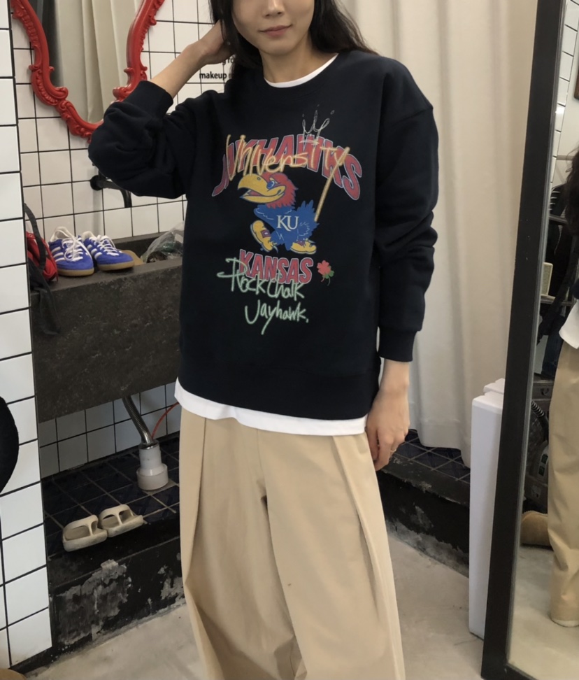 空韓國代購㊣女裝新款休閑真品25秋冬職業熱賣人氣時尚衛衣HANNA-A衛衣