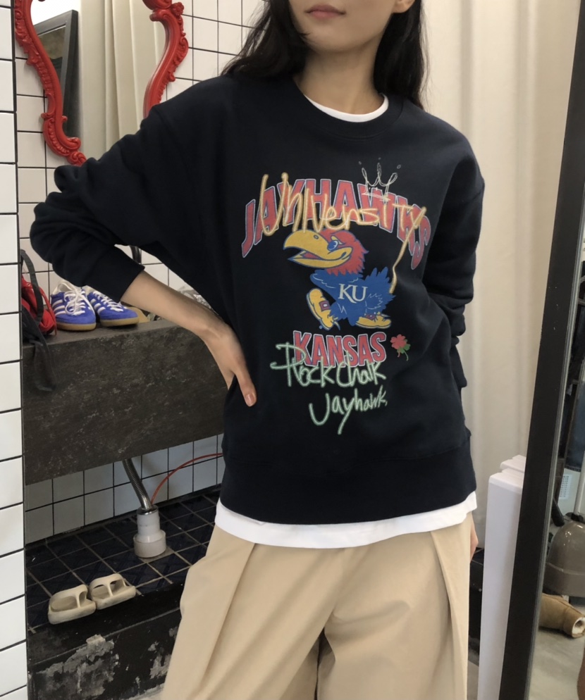 空韓國代購㊣女裝新款休閑真品25秋冬職業熱賣人氣時尚衛衣HANNA-A衛衣