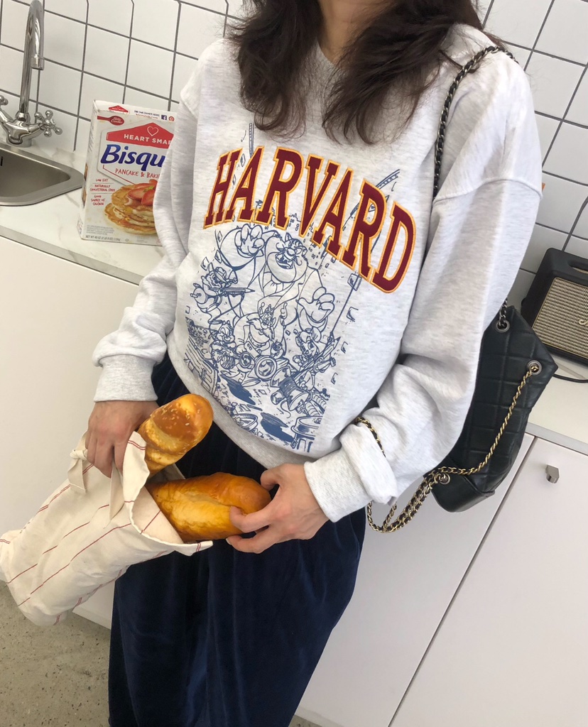 空韓國代購㊣女士新品休閑推薦人氣職業25秋冬真品時尚衛衣HANNA-A衛衣