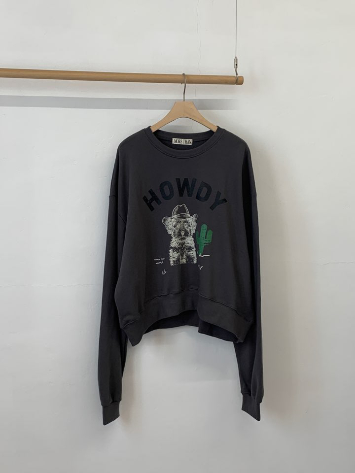 MORE THAN-P韓國代購㊣女士新款真品職業25秋冬休閑時尚衛衣MORE THAN衛衣圖色3