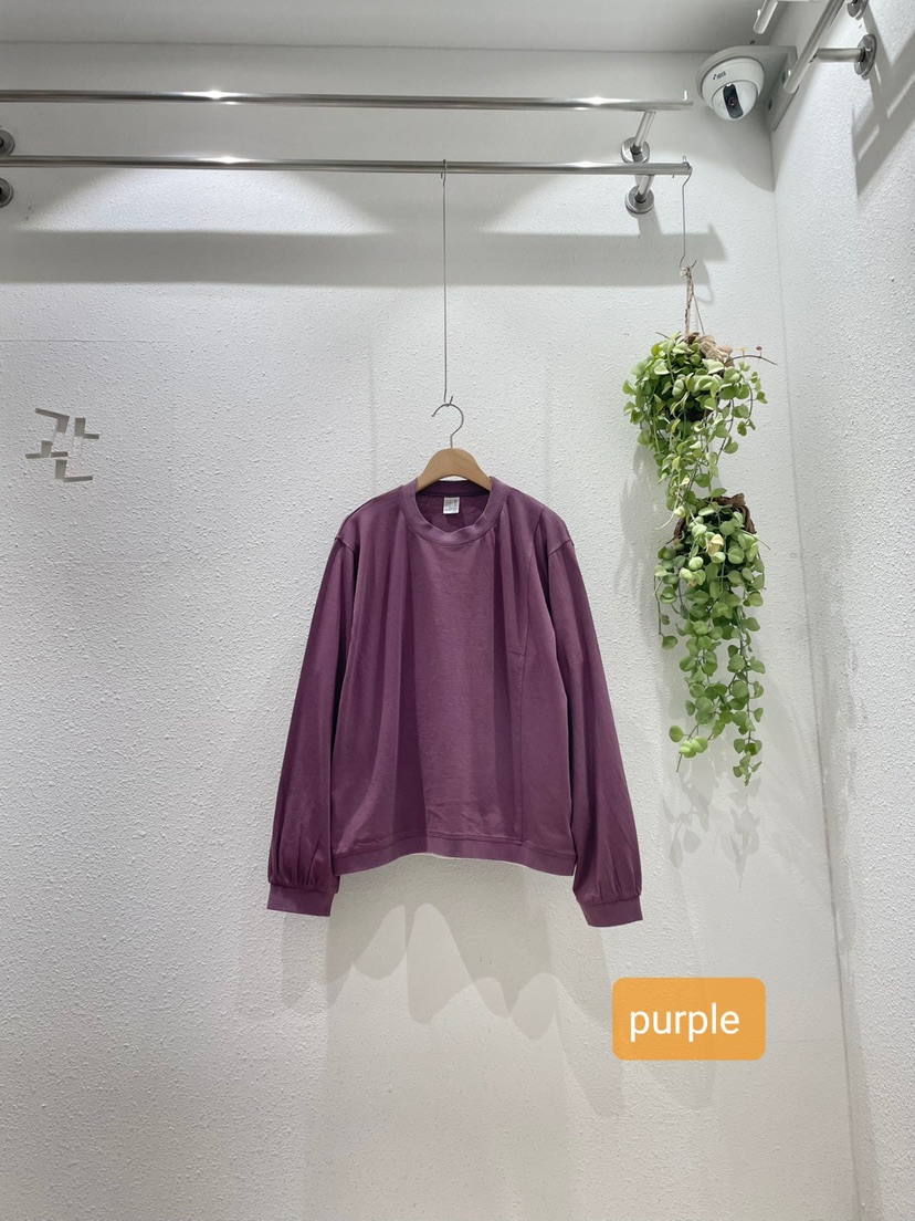 GALLERY-A東大門㊣代購女士新品推薦時尚休閑25秋冬長袖T恤GALLERY長袖T恤圖色2