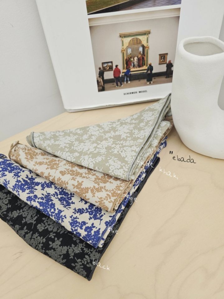EBADA東大門㊣代購女裝新款真品時尚職業25秋冬休閑圍巾披肩EBADA圍巾/披肩