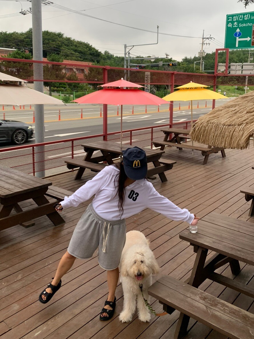 LIKEVAM（不代購）東大門㊣實拍女士新款職業休閑時尚熱賣短褲LIKEVAM短褲