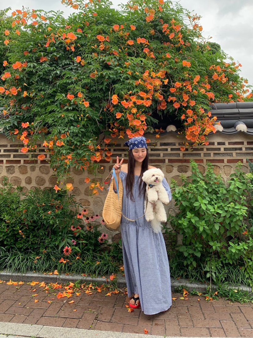 LIKEVAM（不代購）韓國代購㊣女裝新品推薦人氣時尚職業連衣裙LIKEVAM連衣裙