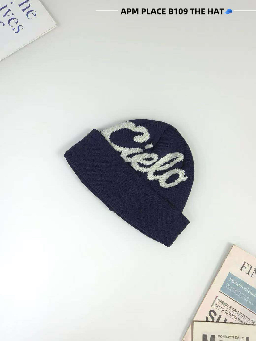 THE HAT-P東大門㊣實拍女裝新品25秋冬休閑職業時尚熱賣帽子THE HAT帽子圖色4