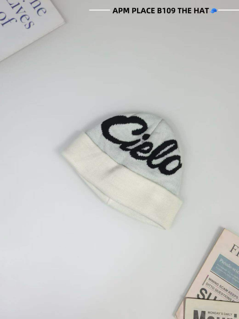 THE HAT-P東大門㊣實拍女裝新品25秋冬休閑職業時尚熱賣帽子THE HAT帽子圖色6
