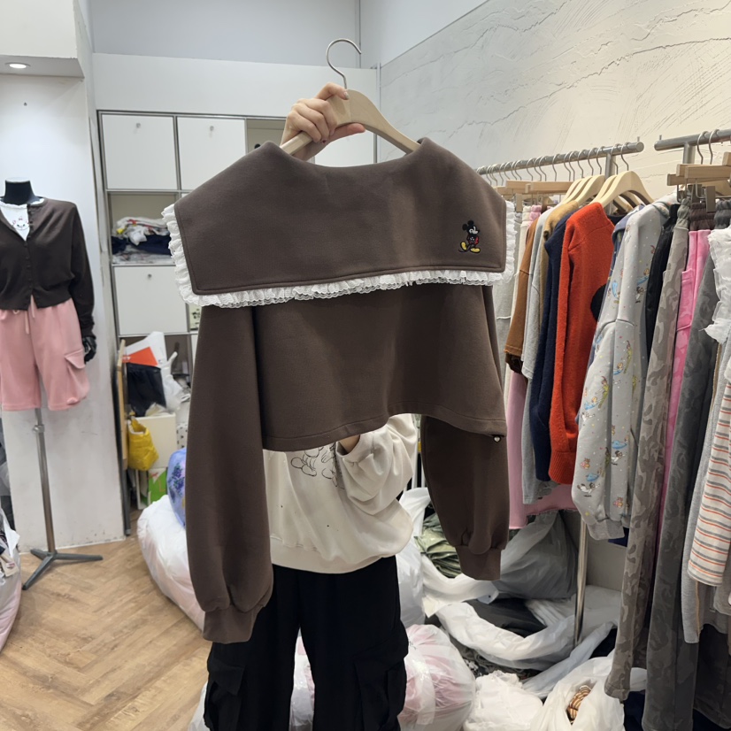 DE LINE韓國代購㊣女士新款人氣真品25秋冬推薦熱賣休閑衛衣DE LINE衛衣