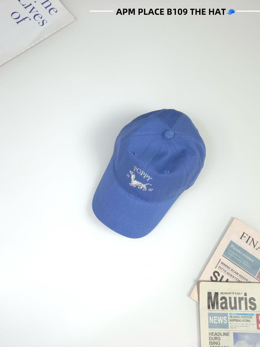 THE HAT-P東大門㊣直郵女士新款人氣休閑推薦真品時尚帽子THE HAT帽子圖色4