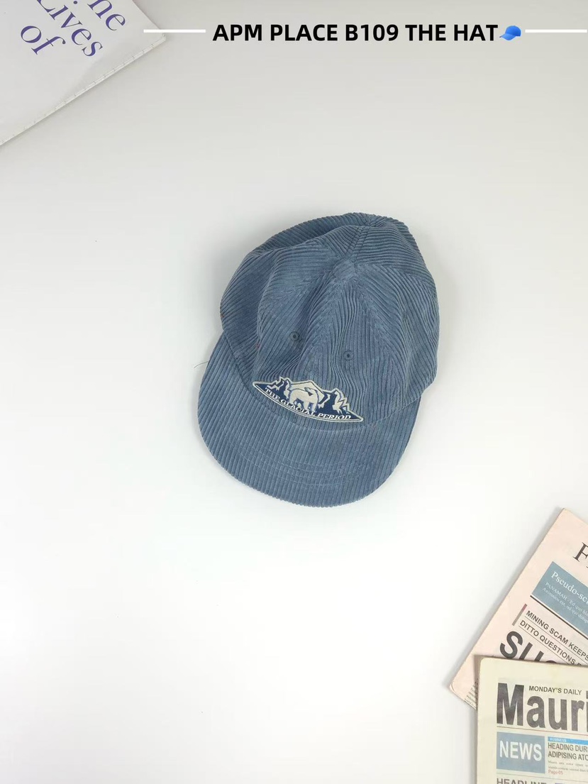 THE HAT-P東大門㊣直郵女士新品休閑熱賣職業時尚人氣帽子THE HAT帽子圖色3