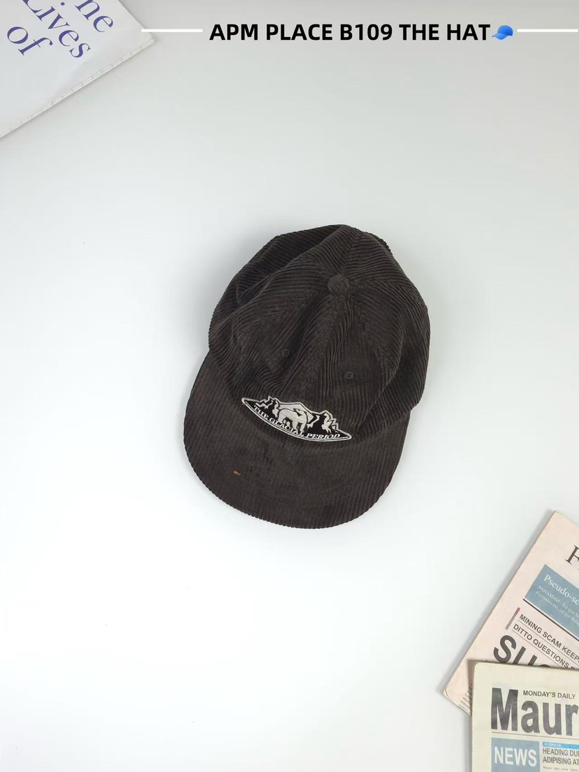 THE HAT-P東大門㊣直郵女士新品休閑熱賣職業時尚人氣帽子THE HAT帽子圖色4
