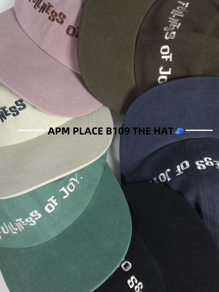 THE HAT-P韓國代購㊣女士新品時尚真品25秋冬熱賣職業帽子THE HAT帽子