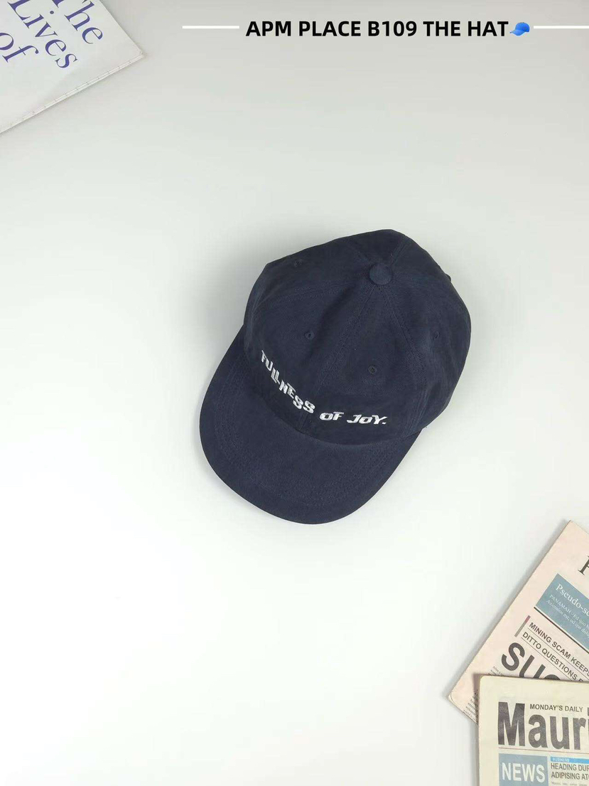 THE HAT-P韓國代購㊣女士新品時尚真品25秋冬熱賣職業帽子THE HAT帽子圖色5