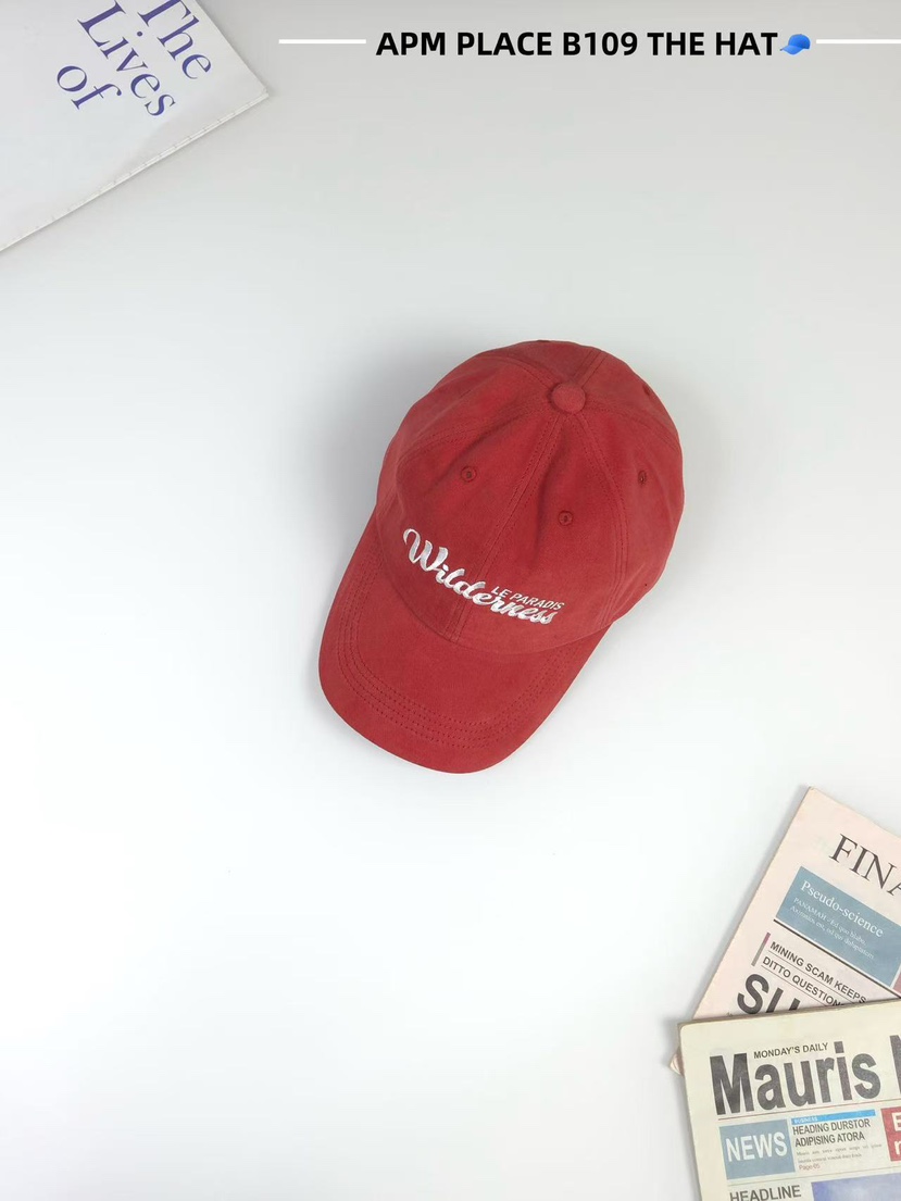 THE HAT-P韓國代購㊣女士新品推薦人氣真品休閑25秋冬帽子THE HAT帽子圖色6