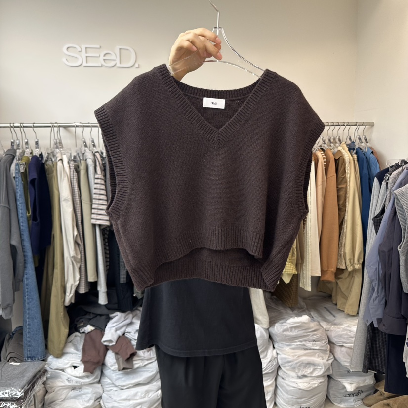 LEESEED-A韓國代購㊣女士新款25秋冬推薦人氣熱賣馬甲短款SEeD/LEESEED馬甲圖色4