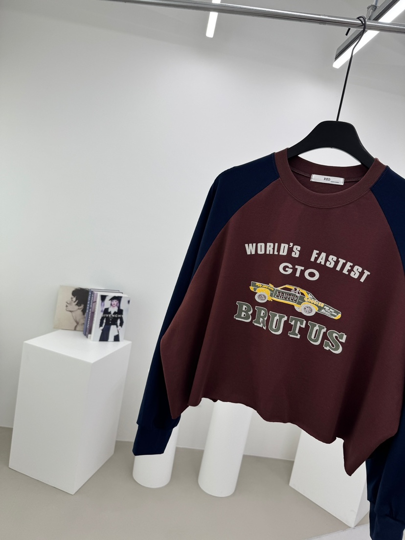 RED-A韓國直郵㊣女士新品休閑人氣時尚推薦職業25秋冬長袖T恤RED-A長袖T恤圖色4