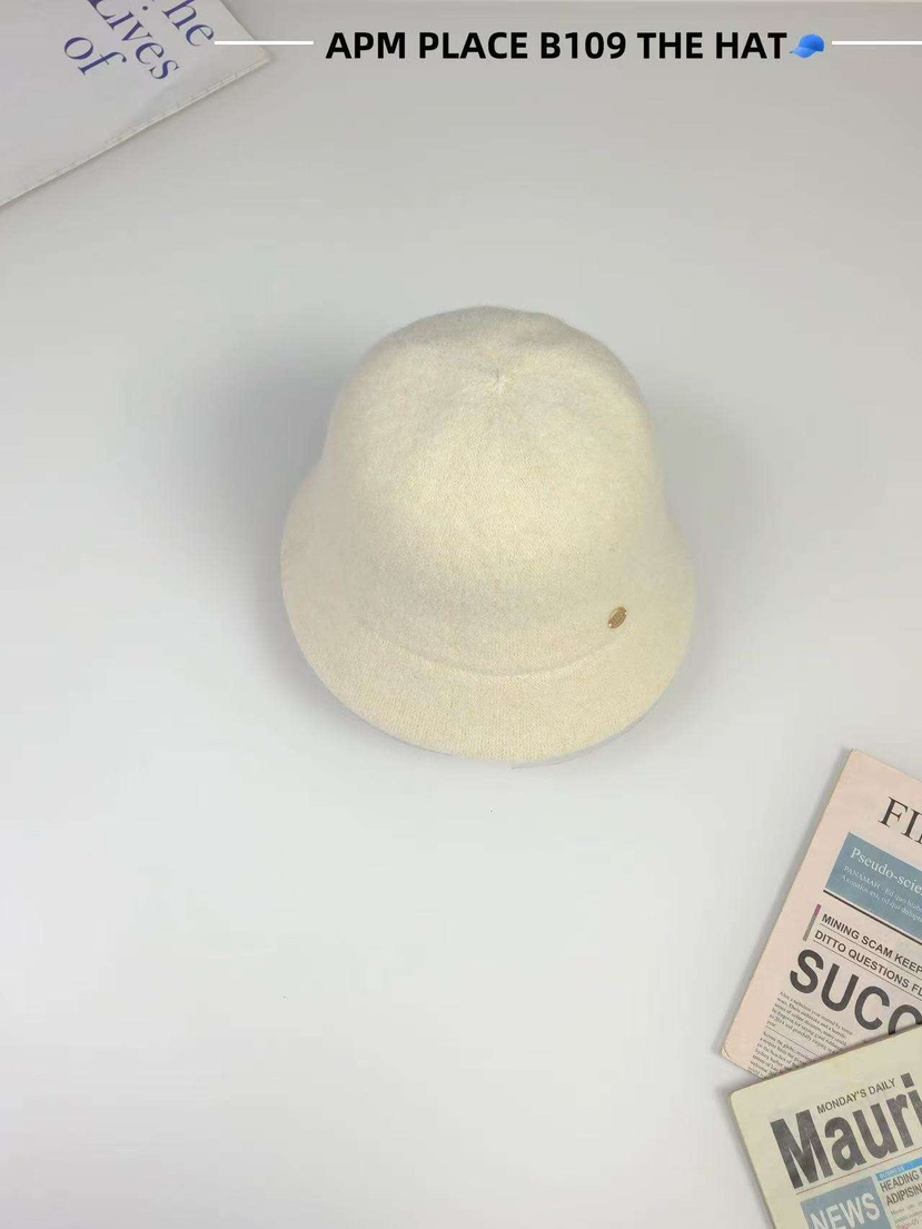 THE HAT-P東大門㊣直郵女士新款推薦職業25秋冬帽子粗花呢THE HAT帽子圖色1