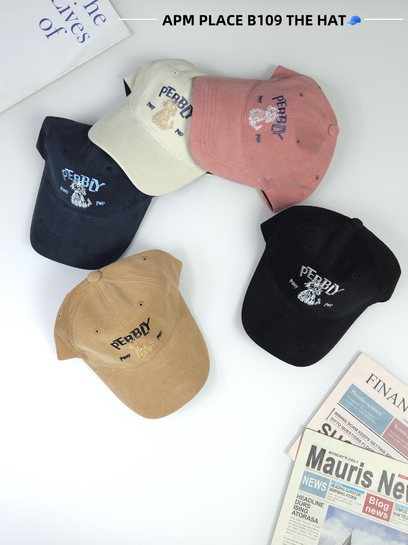 THE HAT-P東大門㊣直郵女裝新款真品推薦職業帽子燈心絨羊皮THE HAT帽子