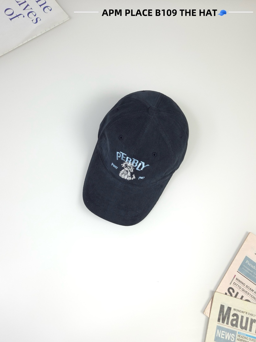 THE HAT-P東大門㊣直郵女裝新款真品推薦職業帽子燈心絨羊皮THE HAT帽子圖色3